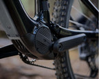 Amflow PL Carbon